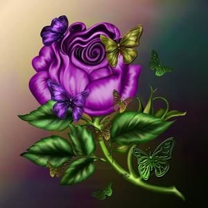 Meet your Posher, Maria